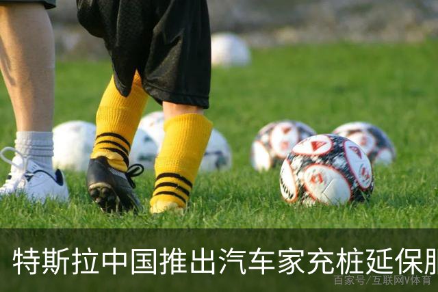 特斯拉中国推出汽车家充桩延保服务限时优惠，明年1月20日前购买延保服务最低199元